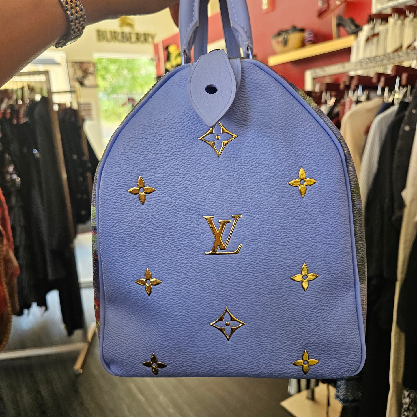 Louis Vuitton x Jeff Koon Monet Speedy