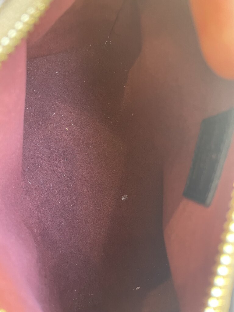 Louis Vuitton x Sun Yitian Nano Speedy Reverse Canvas